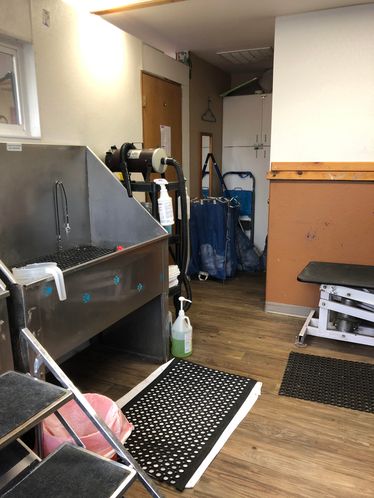 Mission Mountain Pet Service Inc.: 11 7th Ave W, Polson, MT 59860